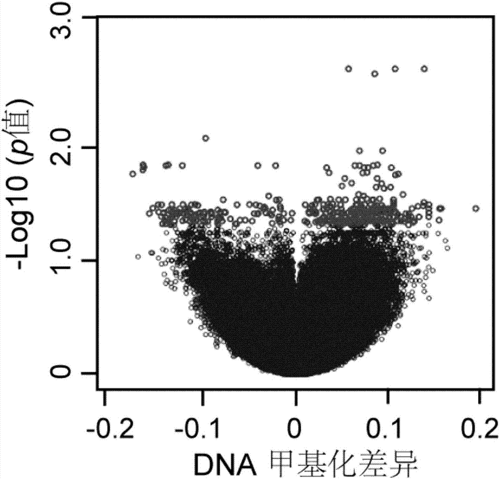 Human tumor-related methylation site as well as screening method and use thereof