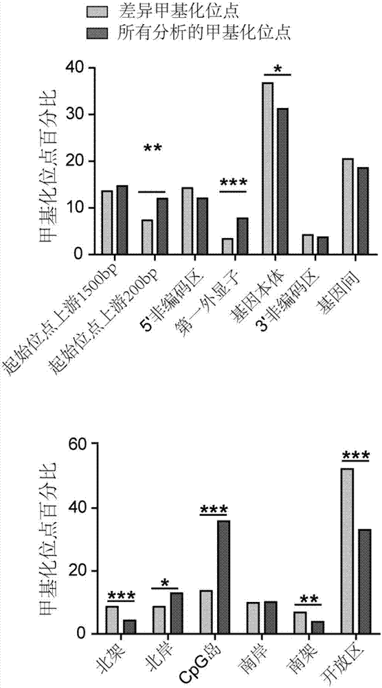 Human tumor-related methylation site as well as screening method and use thereof