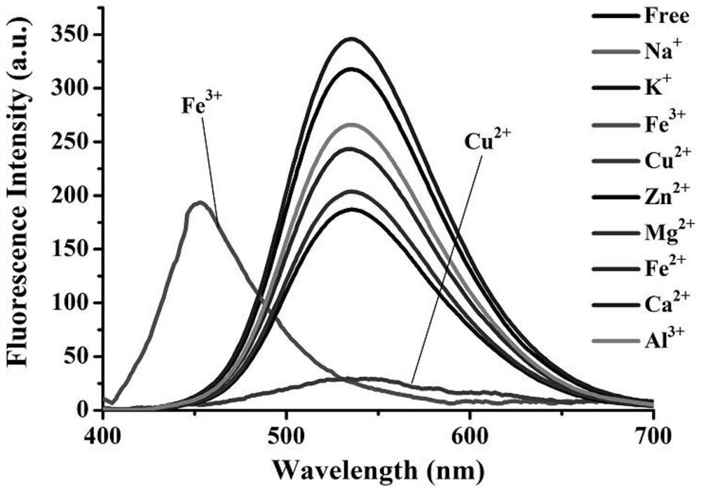 A method for identifying copper ions and iron ions in aqueous solution