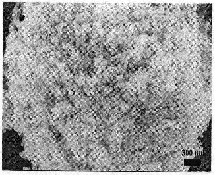 Preparation method and application of Ag/ZnO/CdS composite photocatalyst