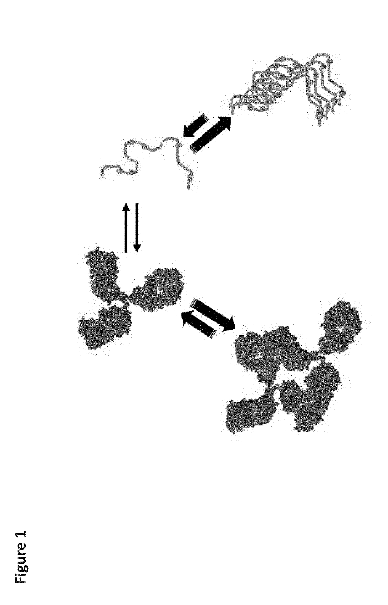 Determination of protein aggregation from the concentration dependence of delta g