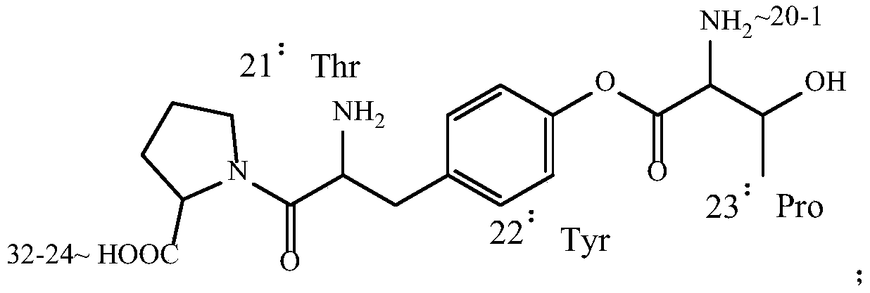 Preparation method for salmon calcitonin, conjugated preparation of salmon calcitonin and use of conjugated preparation in drugs for osteoporosis