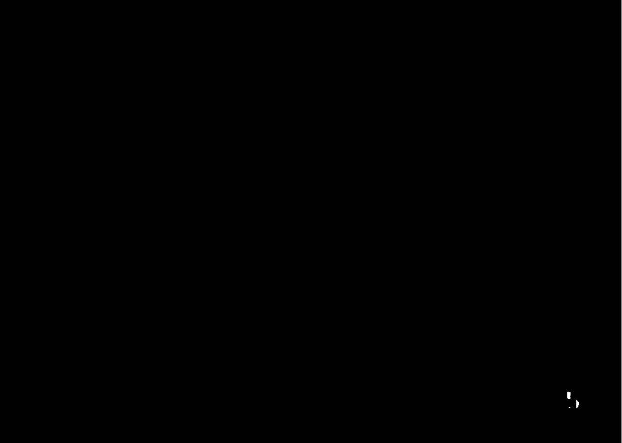 Online soft measurement method for as-fired coal amount based on burner video signals