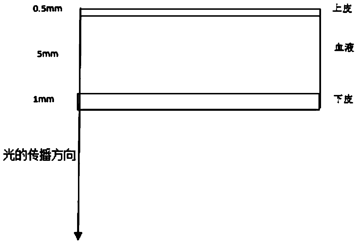 Detection method for optical noninvasive measurement of blood glucose concentrations based on lips