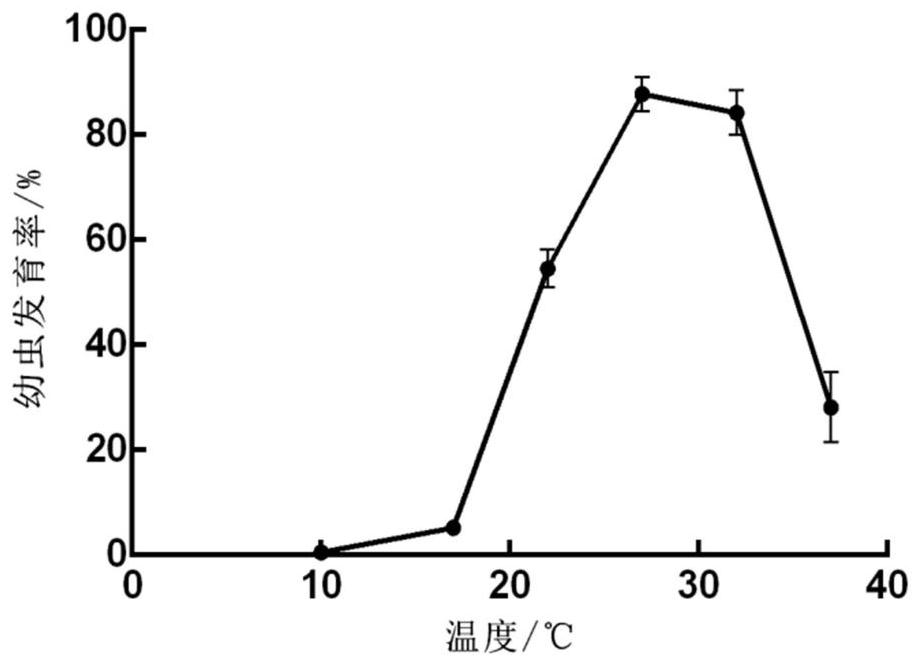 A kind of in vitro culture method and application thereof