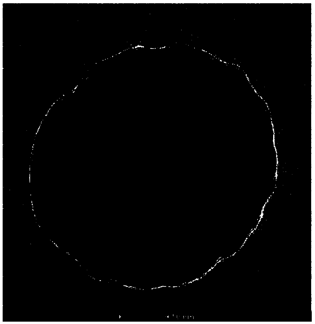 Preparation method of SERS (surfaced enhanced Raman spectroscopy) substrate, SERS substrate and application of SERS substrate