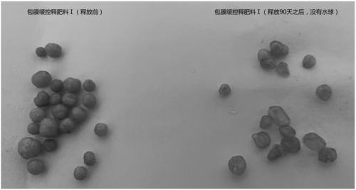 Slow/controlled-release fertilizer having water retention function and preparation method of slow/controlled-release fertilizer