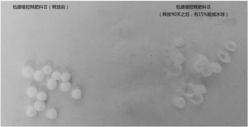 Slow/controlled-release fertilizer having water retention function and preparation method of slow/controlled-release fertilizer