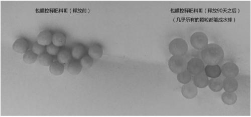 Slow/controlled-release fertilizer having water retention function and preparation method of slow/controlled-release fertilizer