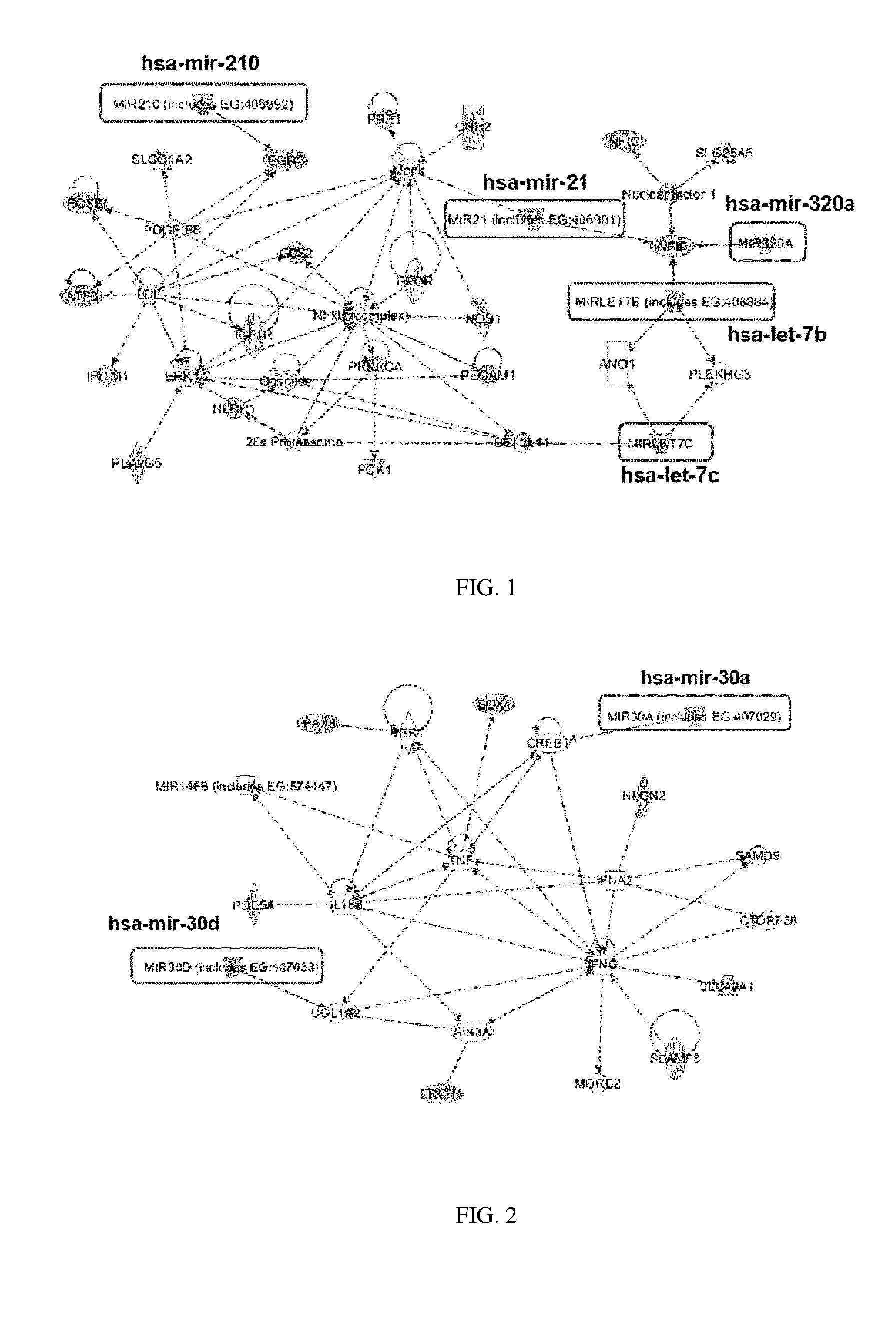 Methods for selecting competent oocytes and competent embryos with high potential for pregnancy outcome