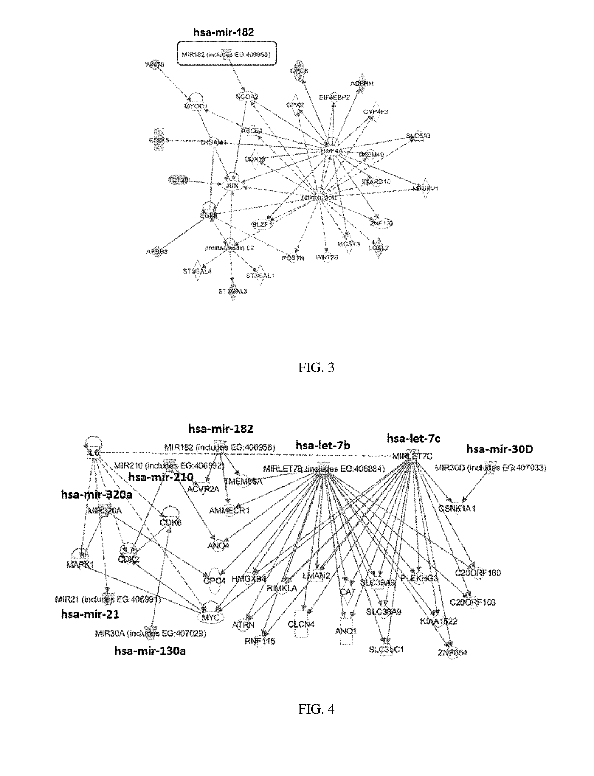 Methods for selecting competent oocytes and competent embryos with high potential for pregnancy outcome