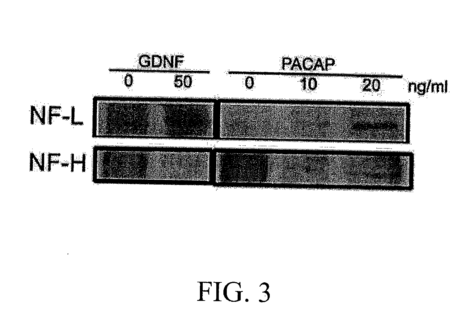 Method for inducing neural differentiation