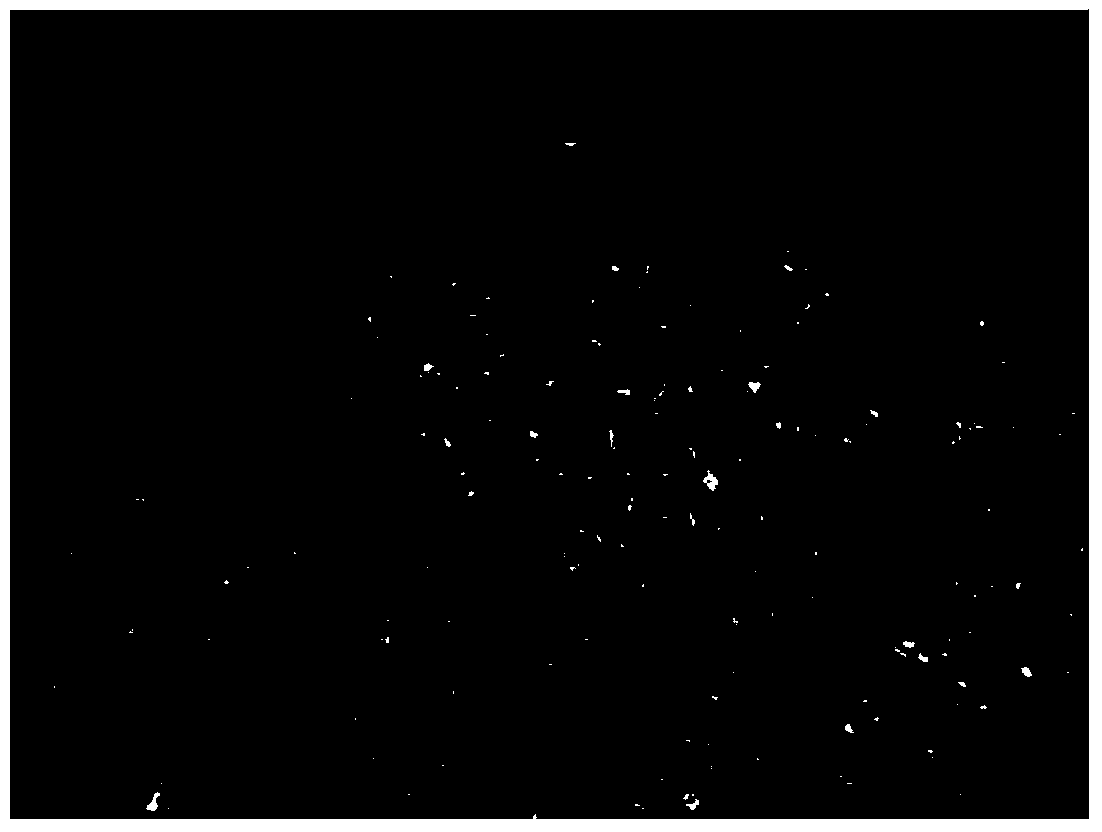 Method for composting and fermenting pineapple stems and leaves into bioorganic fertilizer