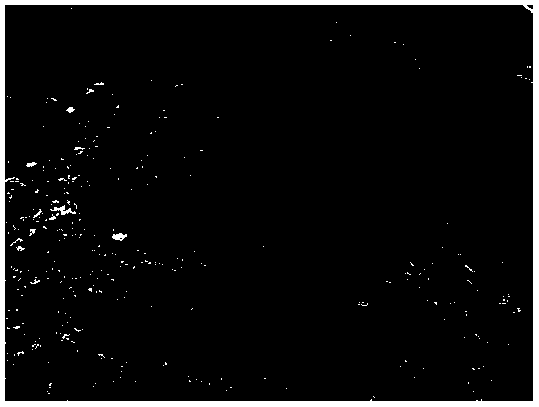 Method for composting and fermenting pineapple stems and leaves into bioorganic fertilizer