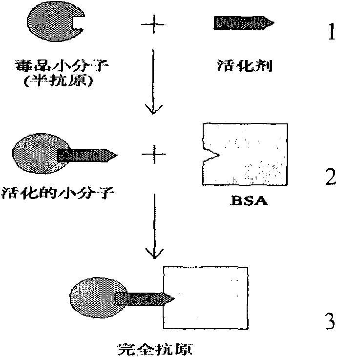 Plate for detecting immunity of cannabis and tetrahydrocannabinol monoclonal antibody through collaurum tag