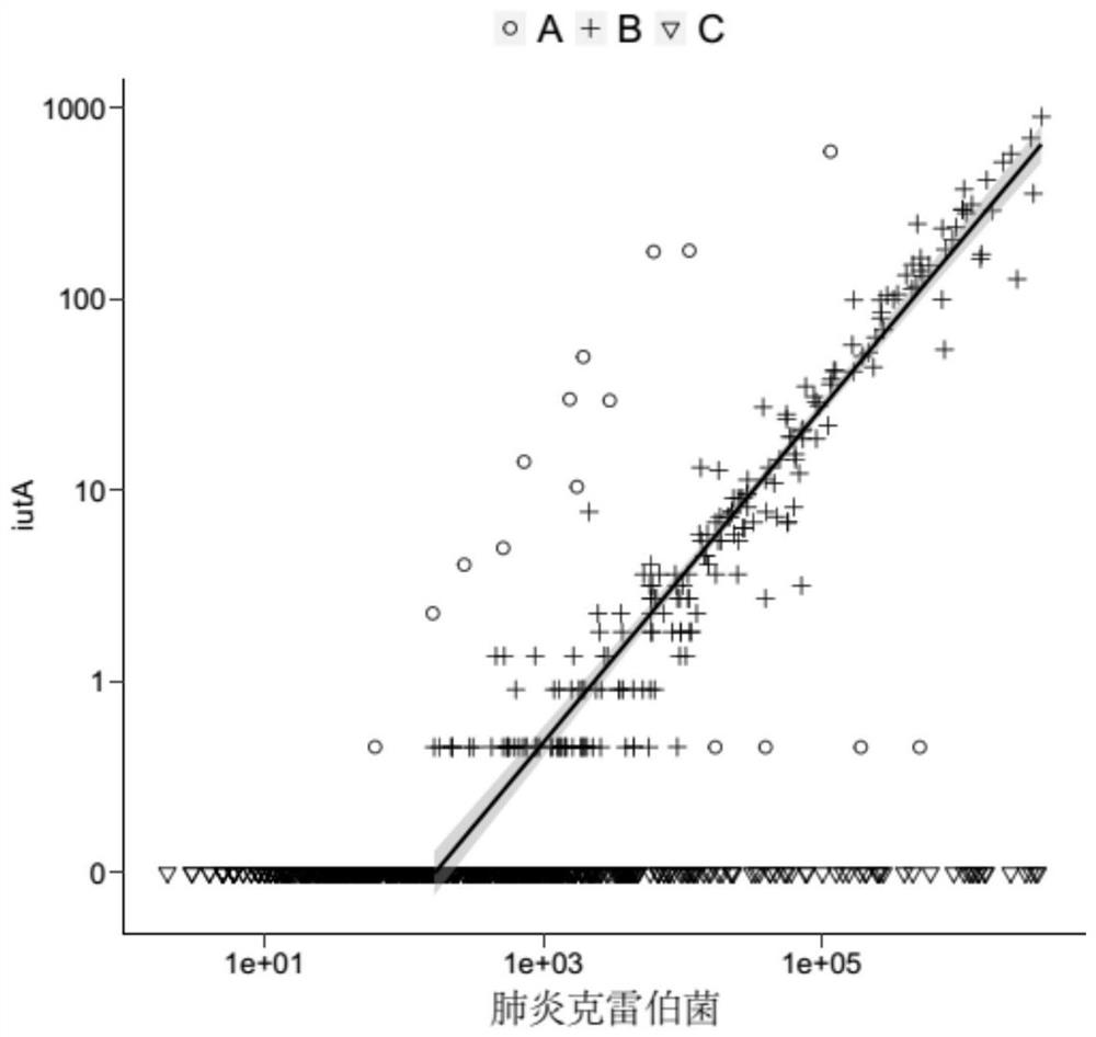 Pathogenic microorganism virulence gene association model as well as establishment method and application thereof