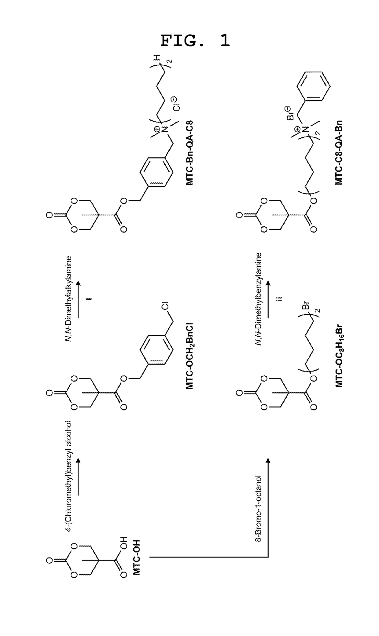 Antibacterial particles functionalized with polyalkylene imine and its derivatives for water disinfection