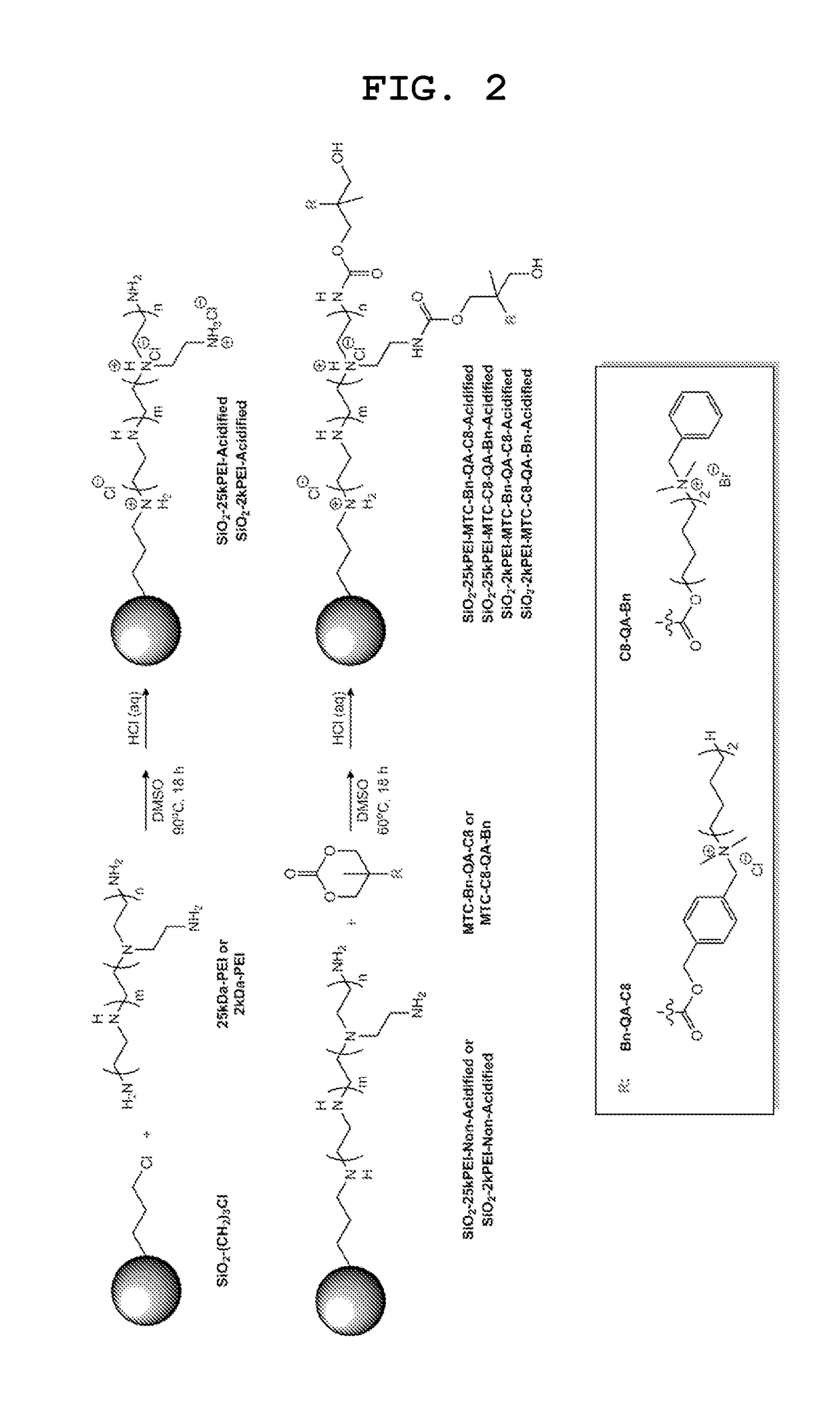 Antibacterial particles functionalized with polyalkylene imine and its derivatives for water disinfection