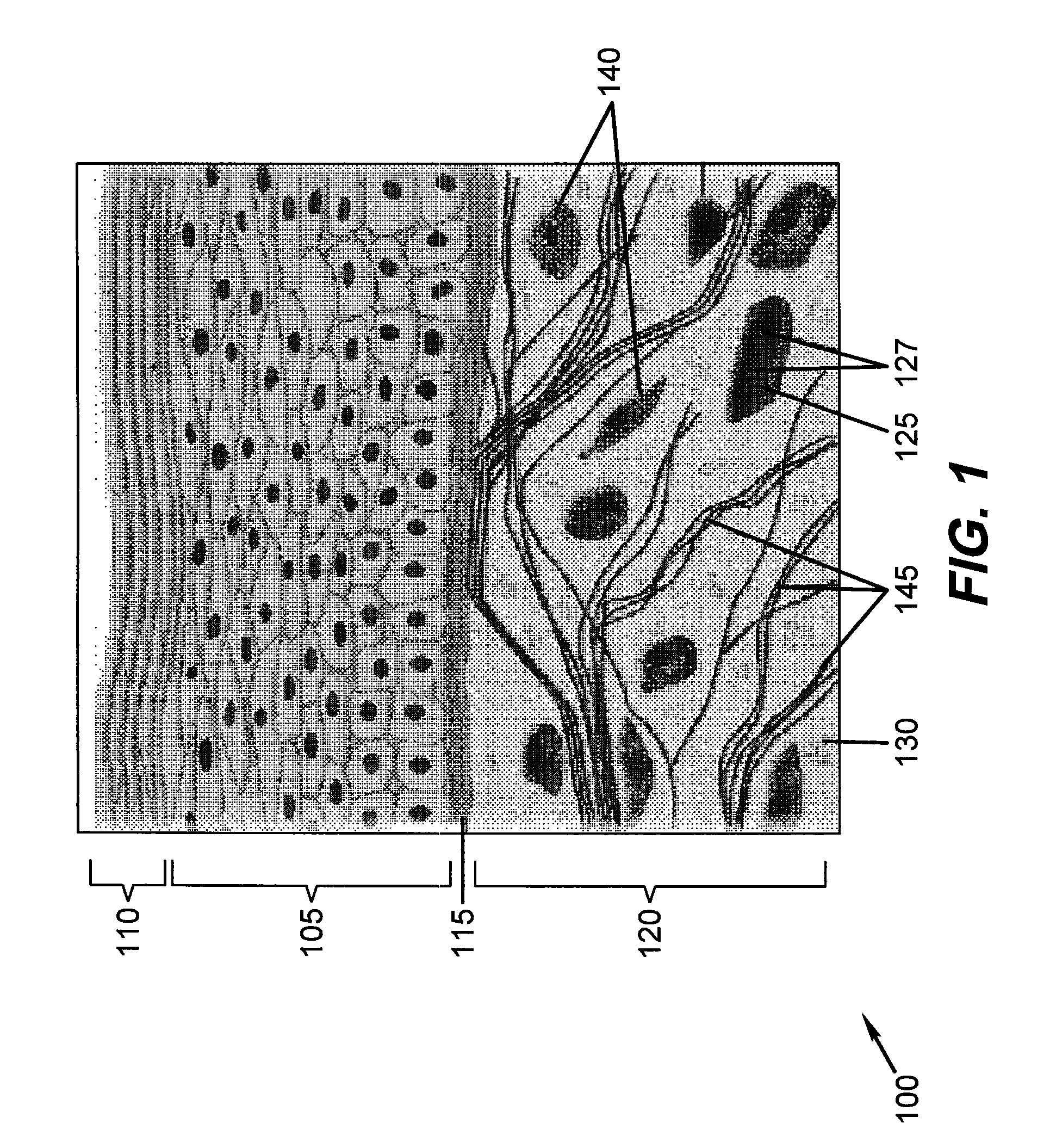 Device for optically stimulating collagen formation in tissue