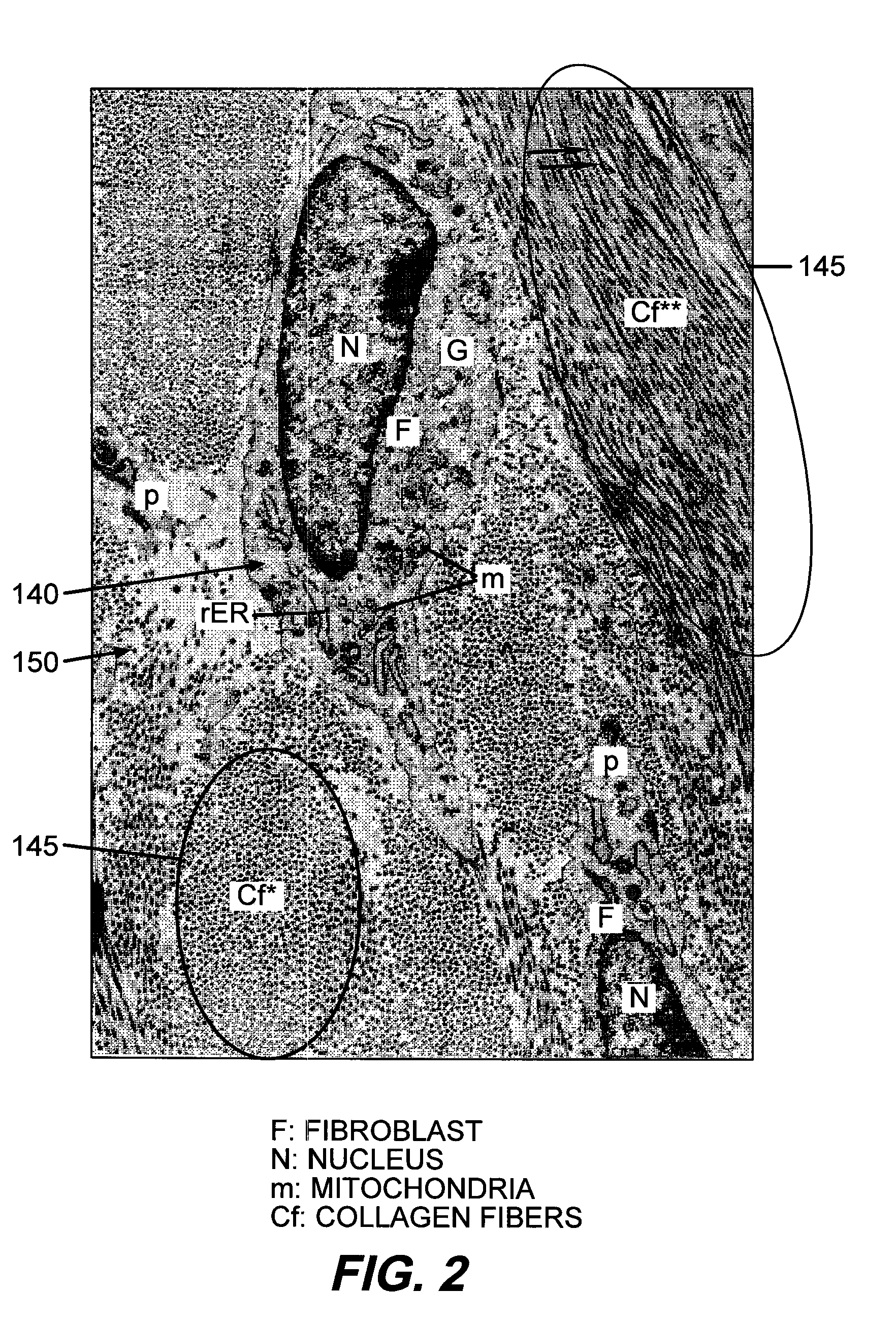 Device for optically stimulating collagen formation in tissue