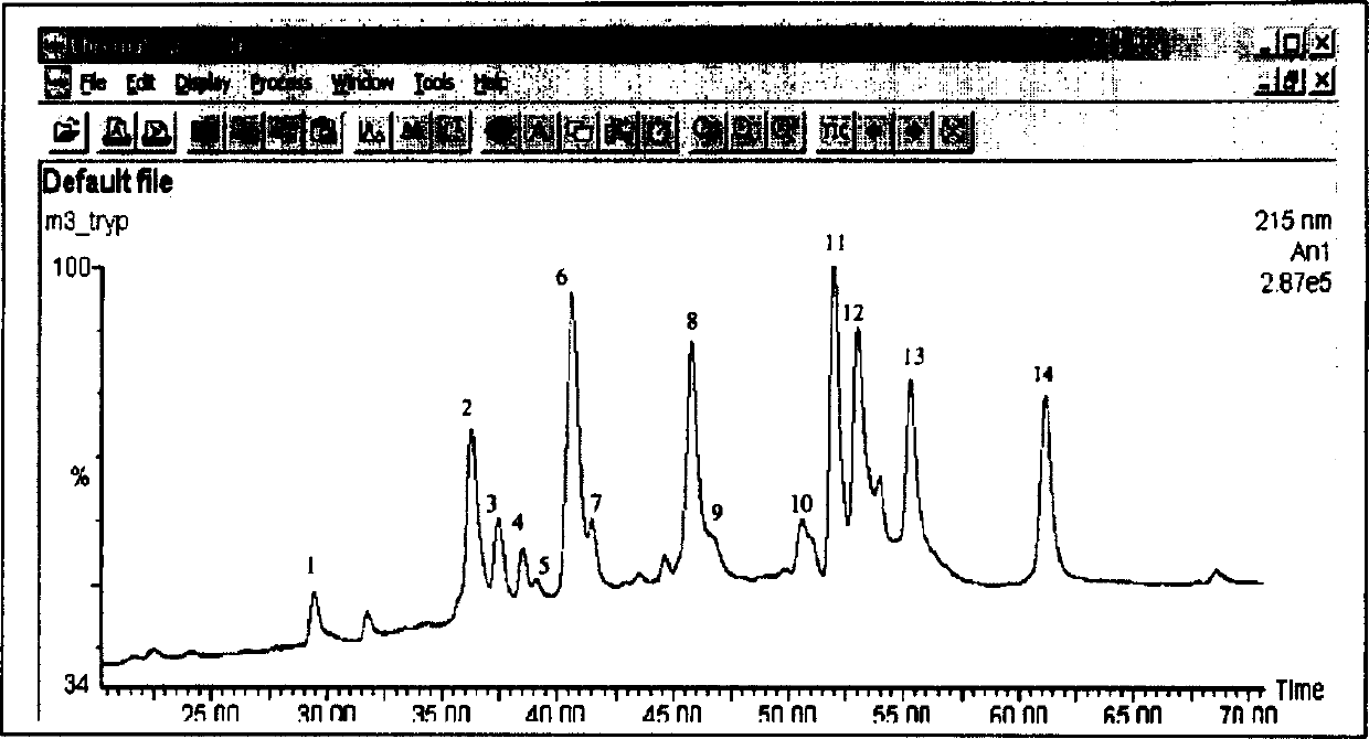 Specific antibody fragments for the human carcinoembryonic antigen (cea)