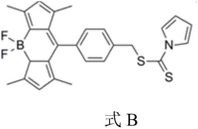 Composite nanometer antibacterial agent having bacterium specific recognition capacity and application of composite nanometer antibacterial agent