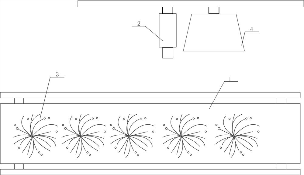 An image analysis system and image analysis method for straw fuel value estimation