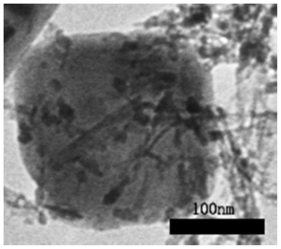 MXene/titanium dioxide nanotube composite material photocatalyst and preparation method thereof