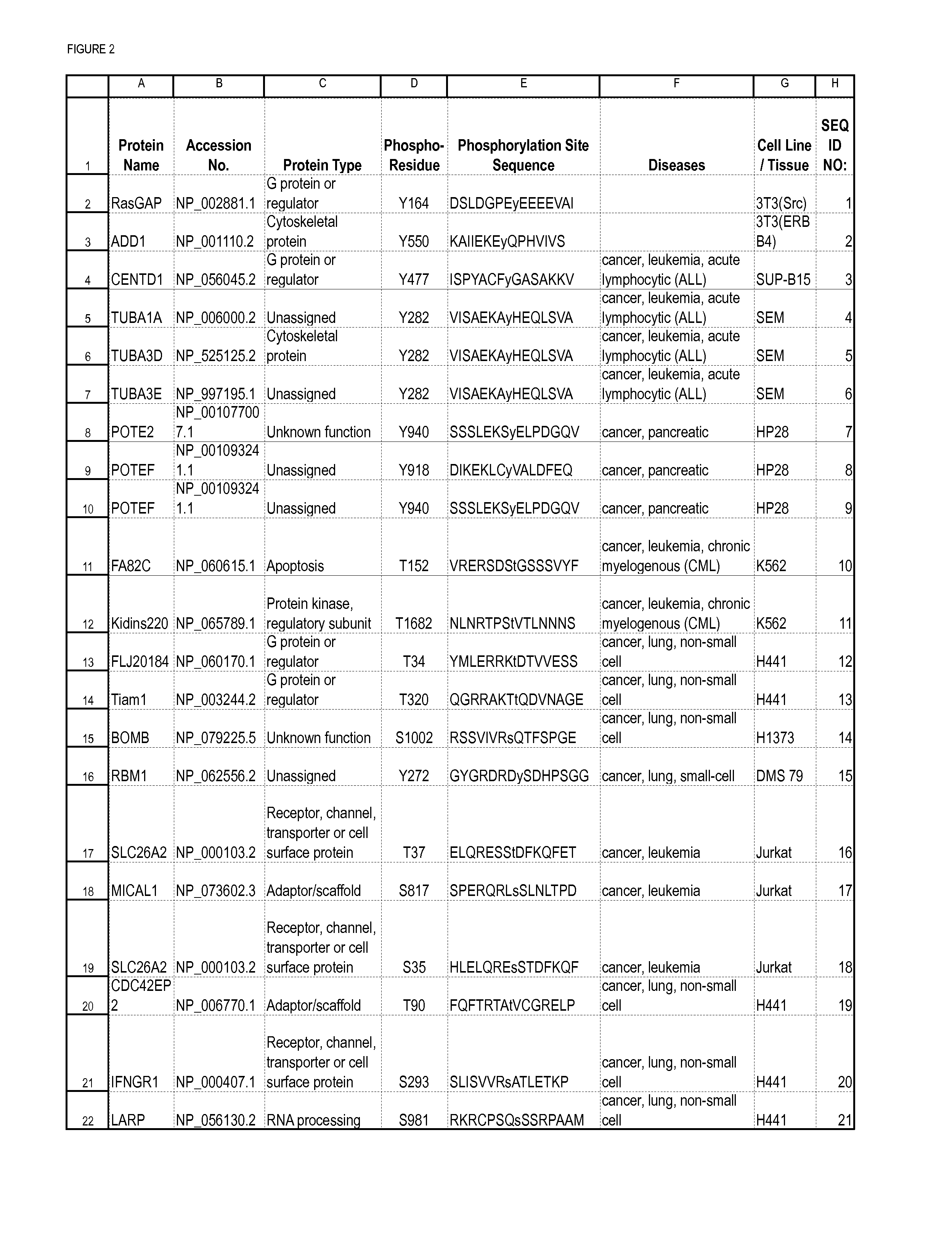 Serine, Threonine, and Tyrosine Phosphorylation Sites