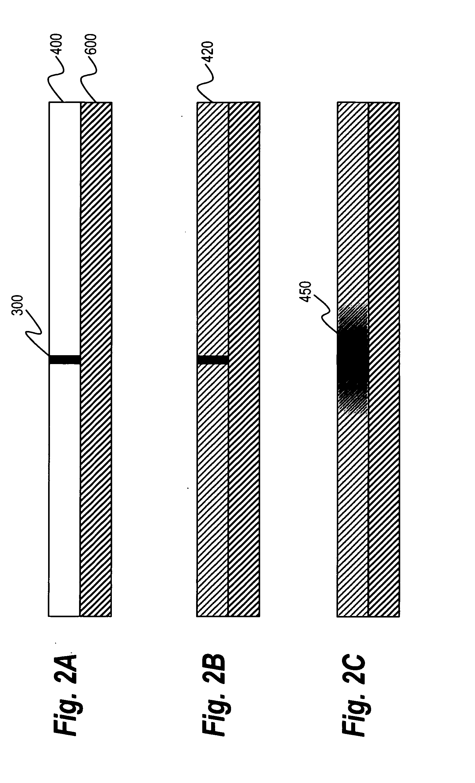 Measurement Of Protease Activity In Post-Mortem Meat Samples