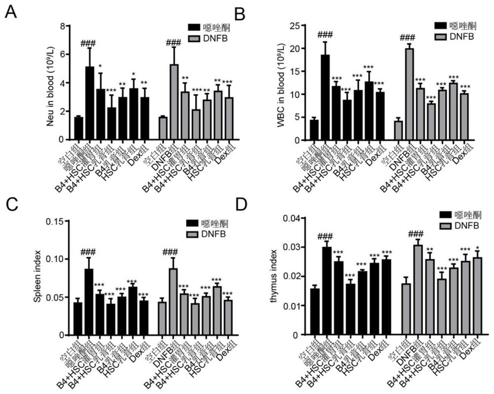 Pulsatilla saponin composition and application thereof in preparation of medicine for treating skin diseases