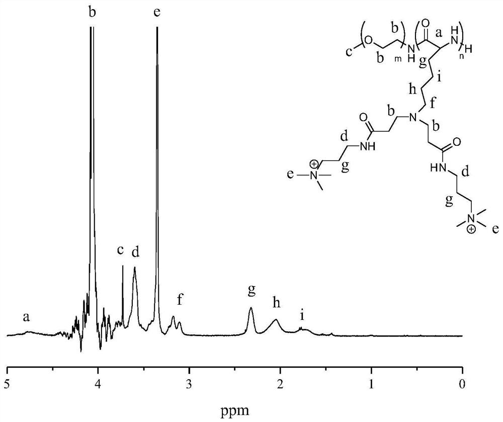 A kind of cationic polymer and its preparation method and application