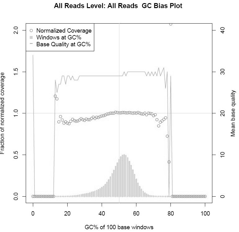 High-fidelity Pfu DNA polymerase mutant, coding DNA of high-fidelity Pfu DNA polymerase mutant and application of high-fidelity Pfu DNA polymerase mutant in NGS