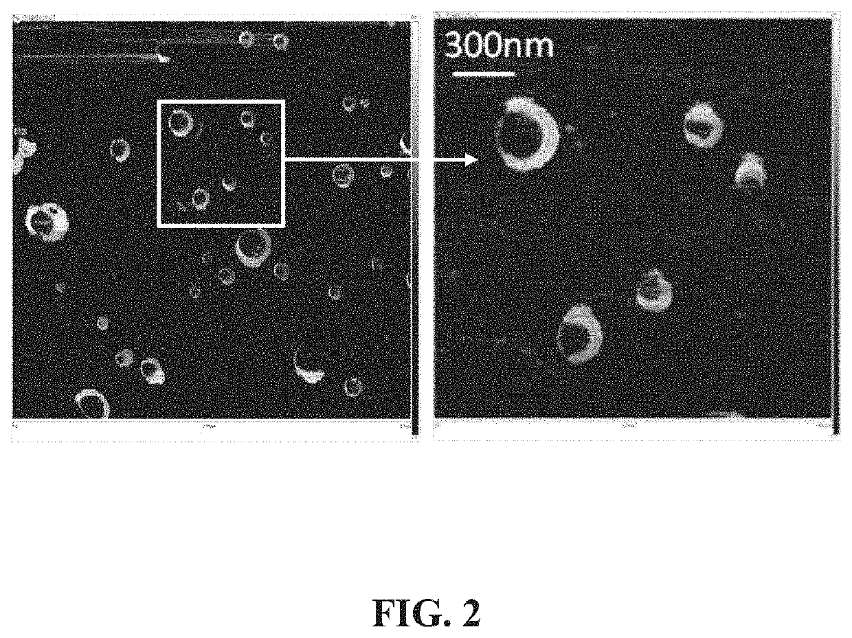 Emulsified liposome composition and preparation process thereof