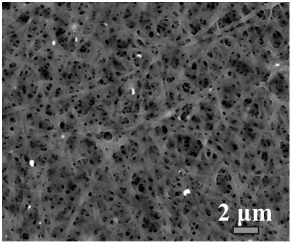 Preparation method and application of Bi2Ti4O11:Yb, Er up-conversion luminescence anti-counterfeiting film