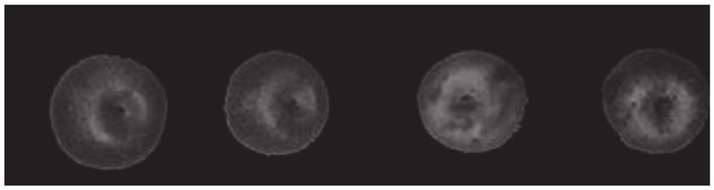 Apple defect detection method and system based on convolutional neural network