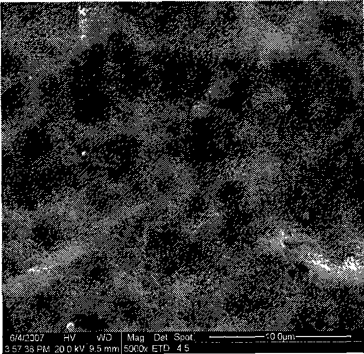 Method for preparing hydroxylapatite/chitosan composite coating by pulse electrochemical deposition