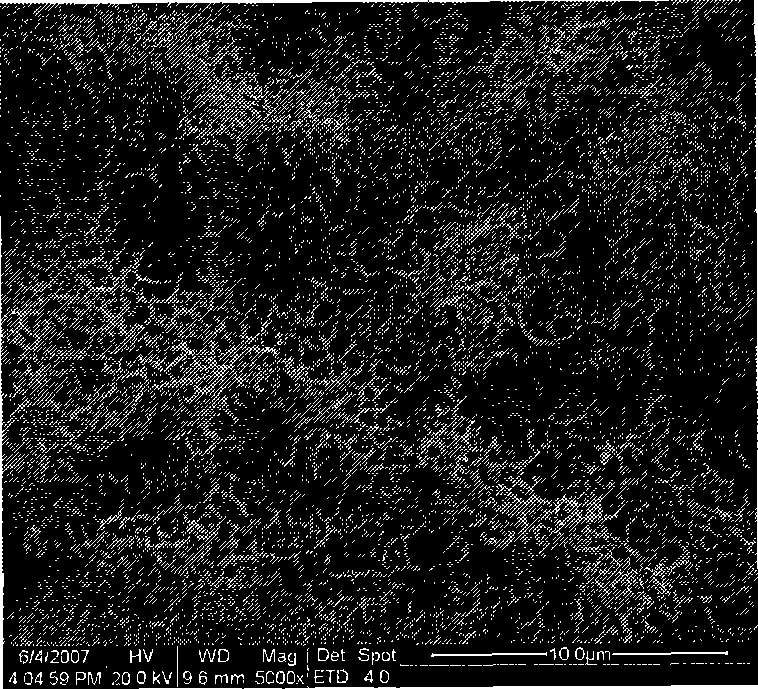 Method for preparing hydroxylapatite/chitosan composite coating by pulse electrochemical deposition