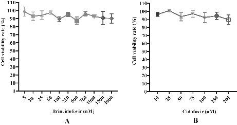 High-throughput screening method and application of drug for inhibiting human adenovirus proliferation