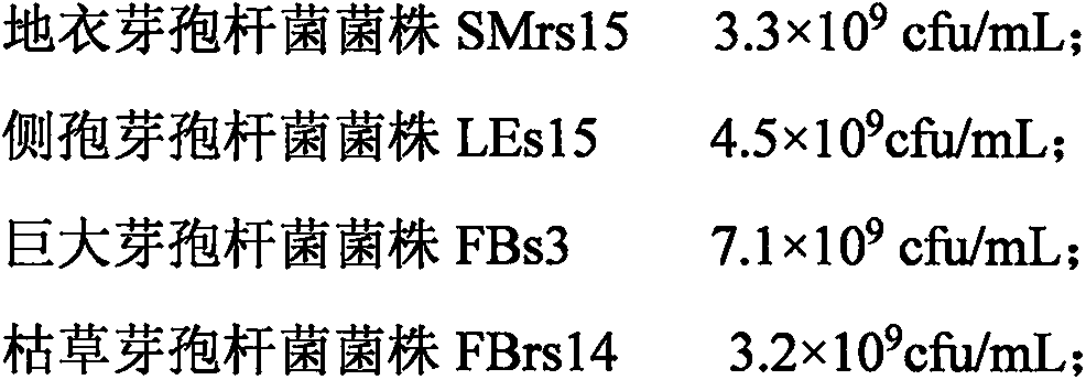 Composite microorganism bacterial agent for ginger, and preparation method and application thereof