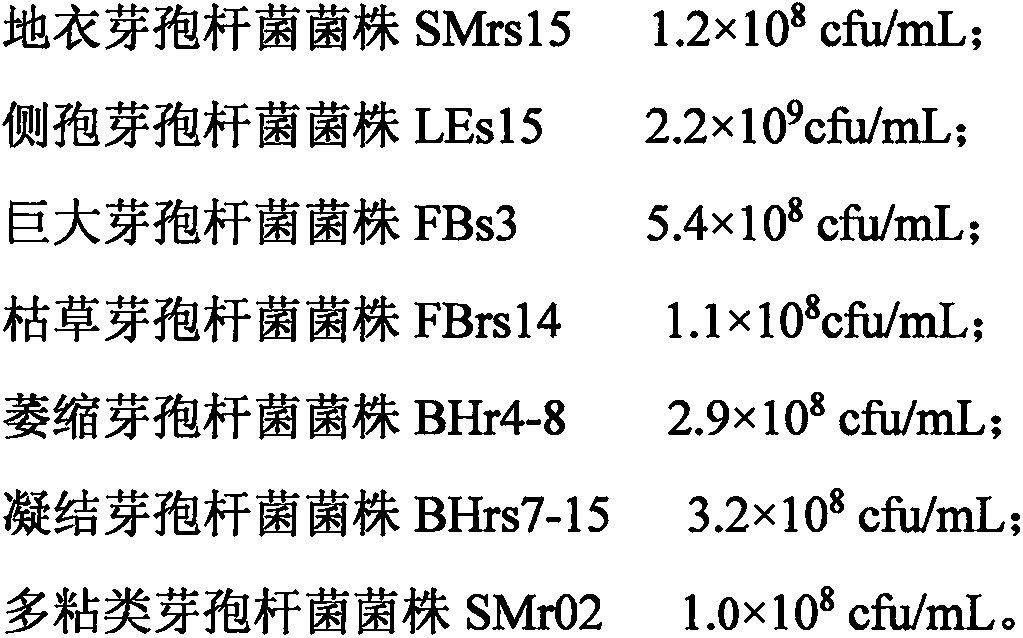 Composite microorganism bacterial agent for ginger, and preparation method and application thereof