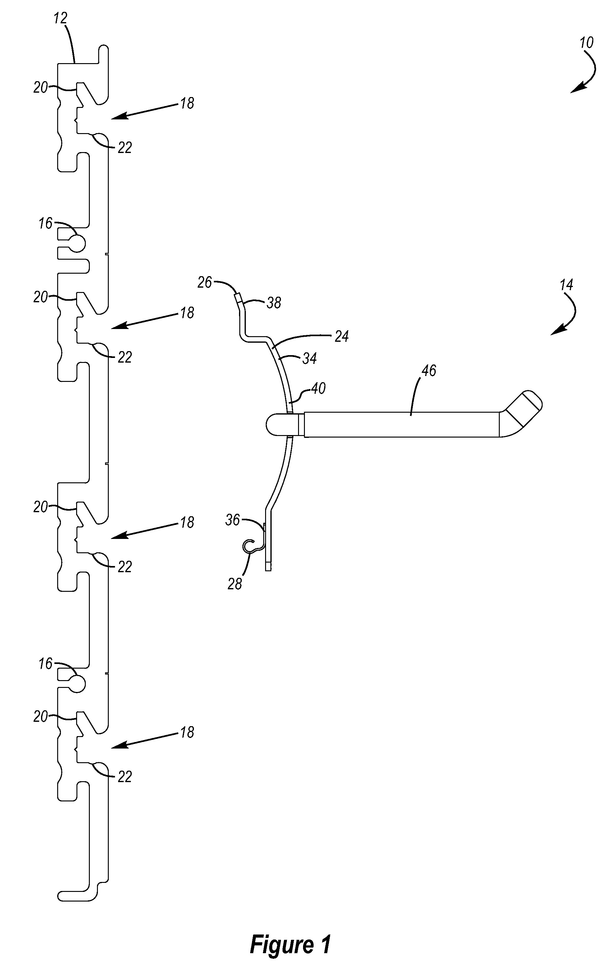 Storage and organization system