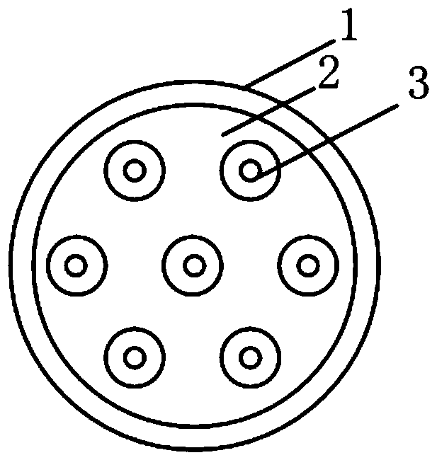 A preparation method of multi-core optical fiber coupler based on microhole processing