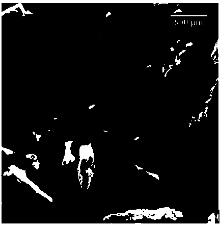 Method for preparing open-cell foam titanium