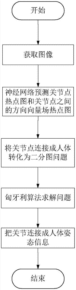 Real-time multi-target human body 2D attitude detection system and method