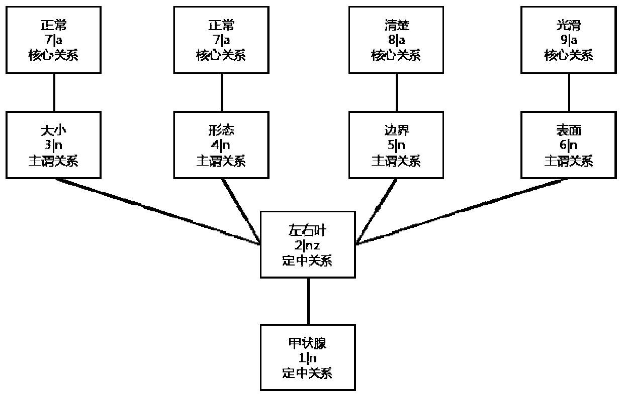 Structural processing method for a thyroid ultrasound report based on a tree structure