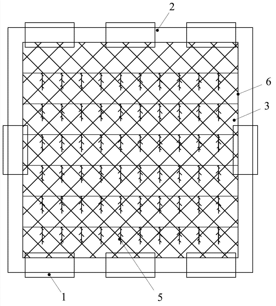 Stichopus japonicus seedling large-scale ecological culture method utilizing outdoor net cages