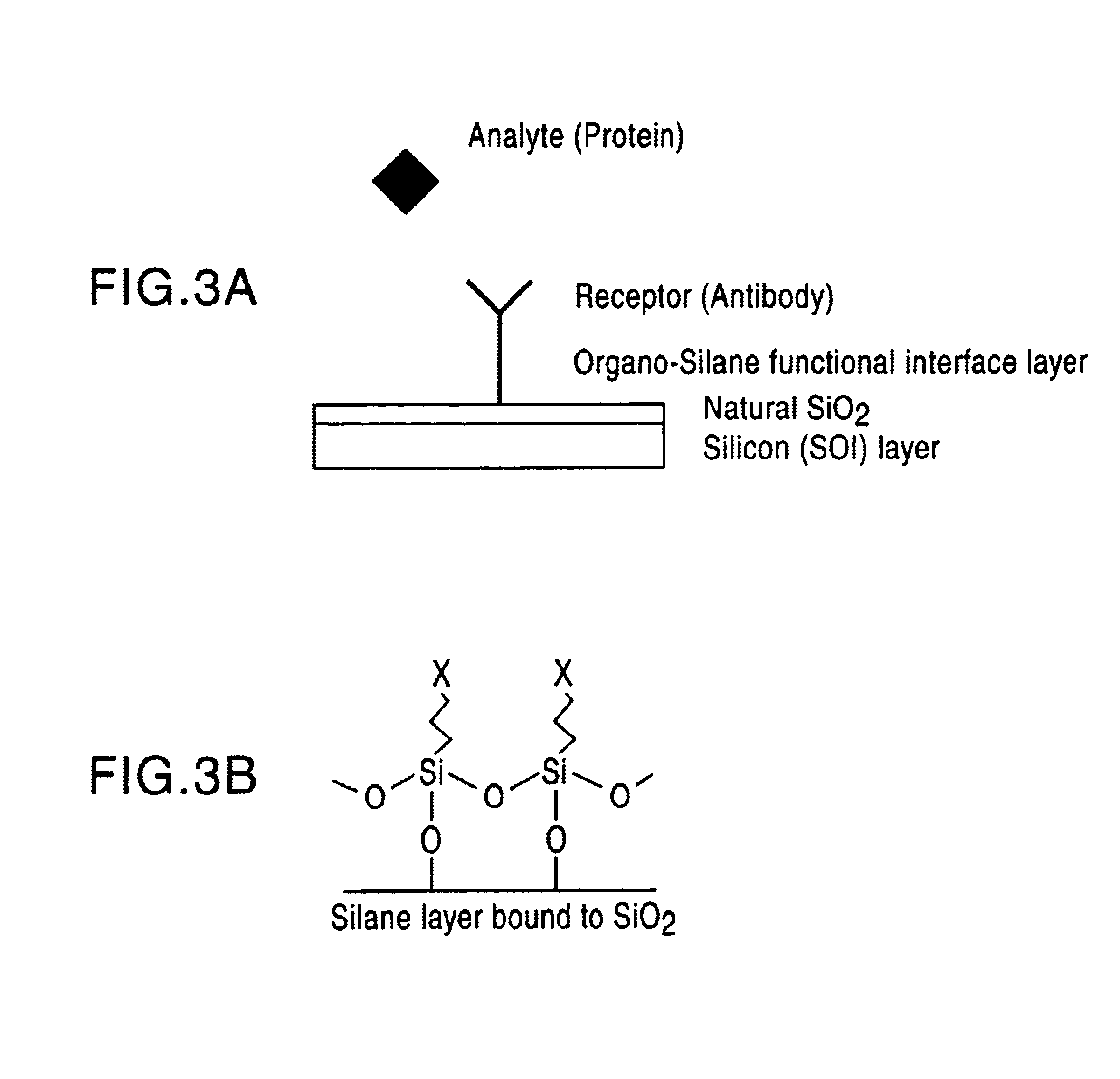 Silicon-on-insulator biosensor device