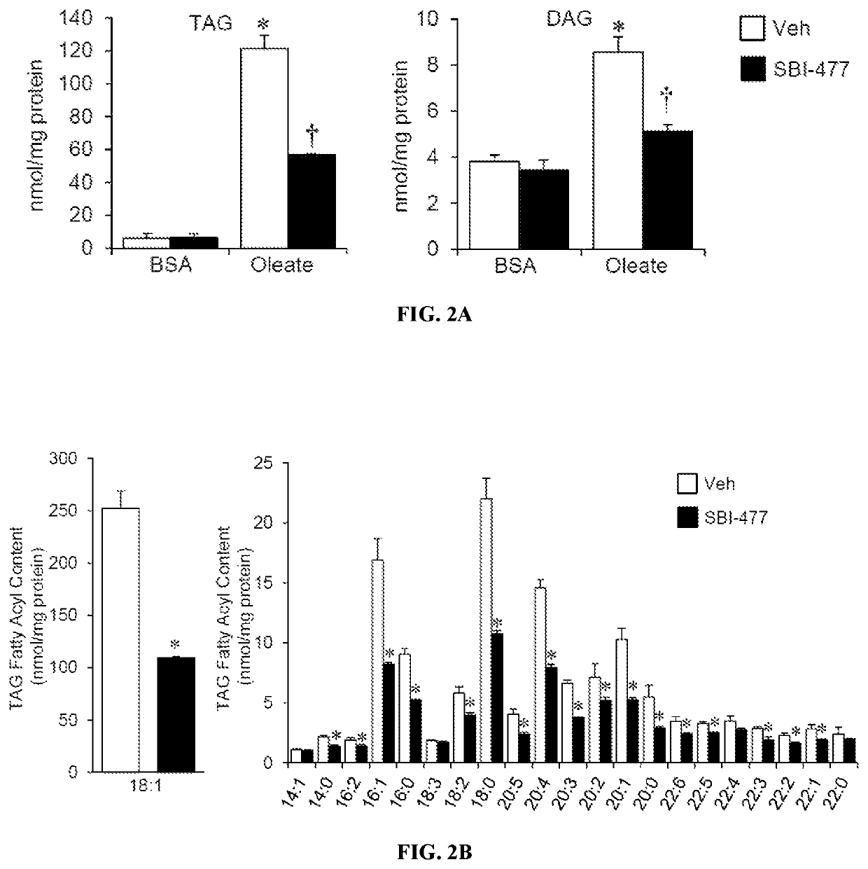 Modulators of myocyte lipid accumulation and insulin resistance and methods of use thereof