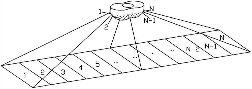 Light distribution lens, light distribution lens module and LED (light-emitting diode) energy-saving lamp